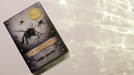 The Bumblebees (DVD and Cards) by Woody Aragon