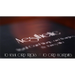 Aesthetic by James Miller - DVD