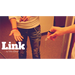 Link by Hui Zheng - - Video Download