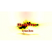 ShockWave by Adam Burton - - Video Download