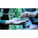Surface 3 by Arnel Renegado - - Video Download