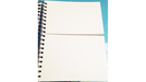 SvenPad® Picasso: Small Mini 7x10" (Two Sections)