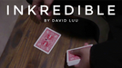 INKredible by David Luu - Video Download