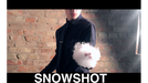 SnowShot (10 ct.) by Victor Voitko (Gimmick and Online Instructions) - Trick