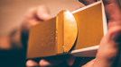 Fort NOC (GOLD) Playing Cards