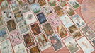 Bicycle Psyche Playing Cards