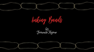 Linking Bands by Fernando Moreno