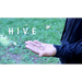 HIVE by Arnel Renegado - - Video Download