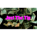 Just The Tip by Chris Randall - - Video Download