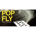 Pop Fly by Bizau Cristian - Video Download