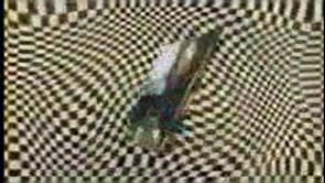 demonstration video of My Best #2 by John Mendoza - Video Download