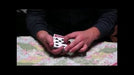 demonstration video of TimeFlies By John Stessel - Video Download
