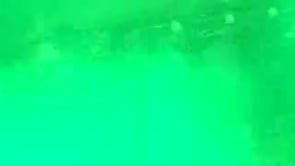 demonstration video of Party Animal by Matthew J. Dowden - Video Download