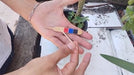 demonstration video of Jumping Stick by Kenneth Costa - Video Download