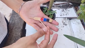 demonstration video of Jumping Stick by Kenneth Costa - Video Download