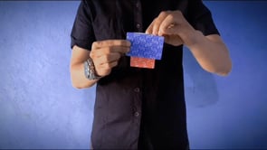 demonstration video of Warped by Zoen's - Video Download