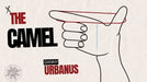 demonstration video of The Vault - The Camel by Danny Urbanus - Video Download