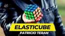 demonstration video of The Vault - Elasticube by Patricio Teran - Video Download