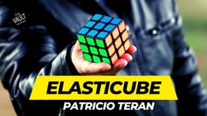 demonstration video of The Vault - Elasticube by Patricio Teran - Video Download