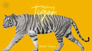 demonstration video of The Vault - Returning Tiger by Aurelio Ferreira - Video Download