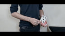 demonstration video of Variete Magic Vol 2 Controls by Gonzalo Cuscuna - Video DownloadS