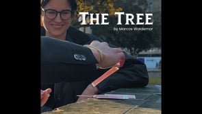 demonstration video of THE TREE by Marcos Waldemar & Invisible Compass - Video Download