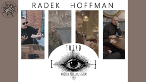 demonstration video of The Vault-Third Eye by Radek Hoffman - Video Download