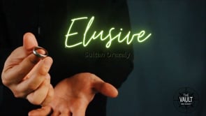 demonstration video of The Vault - Elusive by Sultan Orazaly - Video Download
