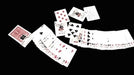 demonstration video of Jester's Gesture by Viper Magic - Video Download