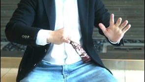 demonstration video of Flicker by Patricio Teran - Video Download