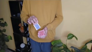 demonstration video of Zoom by Jawed Goudih - Video Download