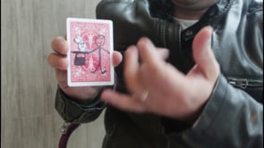 demonstration video of Rabbit Out of Hat by Patricio Teran - Video Download