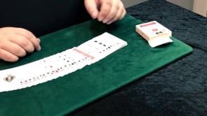 demonstration video of Traveler by Mario Tarasini - Video Download