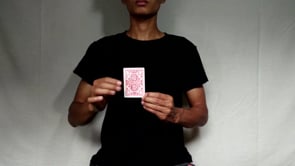 demonstration video of Snap 2.0 By Zaw Shinn - Video Download