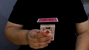 demonstration video of My Favorites by Mario Tarasini - Video Download