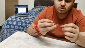 demonstration video of Linked 2.0 by Kapil Agnihotri - Video Download