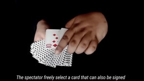 demonstration video of Koala's Touch by Viper Magic - Video Download
