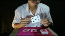demonstration video of Sinkhole by Ido Daniel - Video Download
