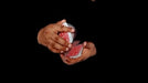 demonstration video of Movement by Viper Magic - Video Download