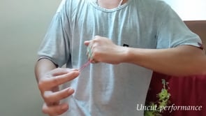 demonstration video of Lockape by Doan - Video Download