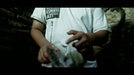 demonstration video of Entry by Rendy'z Virgiawan - Video Download
