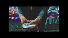 demonstration video of Sticker by Jung Han Sol - Video Download