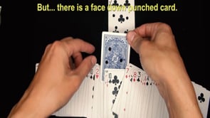 demonstration video of Perfect Punched By Nico Guaman - Video Download