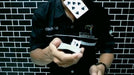 demonstration video of SQUARE by Bobonaro - Video Download