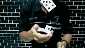 demonstration video of SQUARE by Bobonaro - Video Download