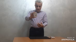 demonstration video of SYNCRO VISION by Luis magic - Video Download