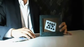 demonstration video of Cardtrait by Guillermo Dech - Video Download