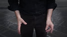 demonstration video of Bertini on The Classic Palm - Video Download