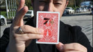 demonstration video of 3 by Patricio Teran - Video Download