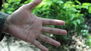 demonstration video of Metal Skin by Arnel Renegado - Video Download
